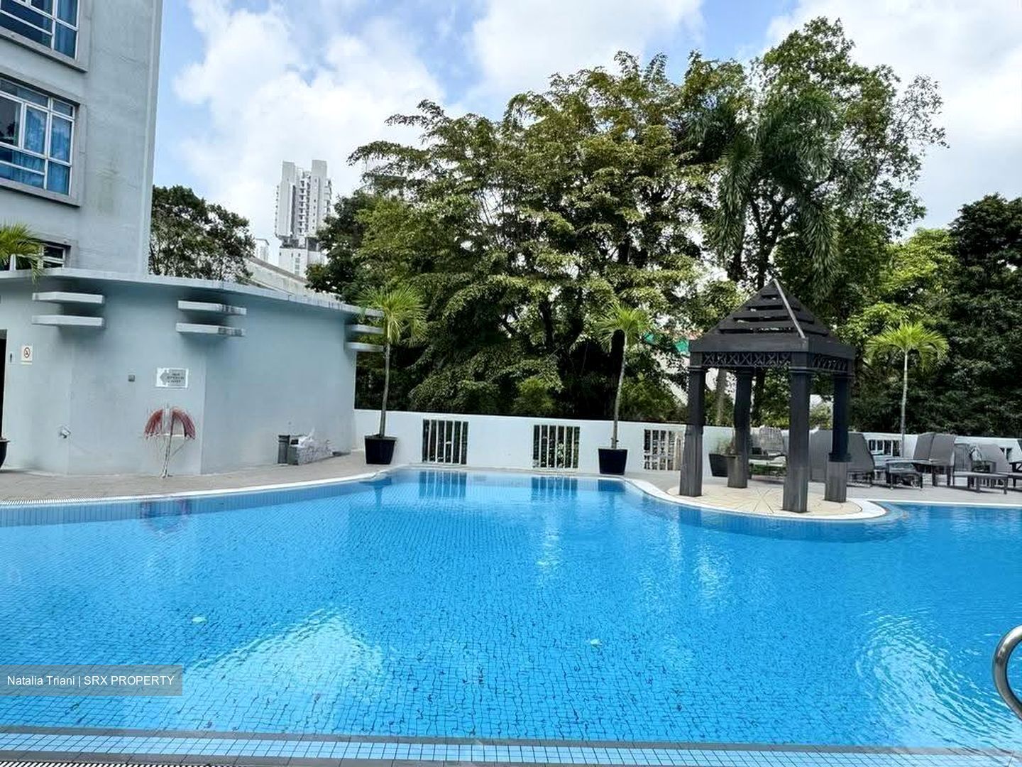 Leedon 2 (D10), Condominium #610575831